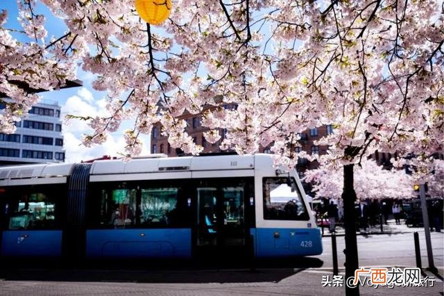 旅游问卷调查模板,关于旅游的问卷调查题目有什么