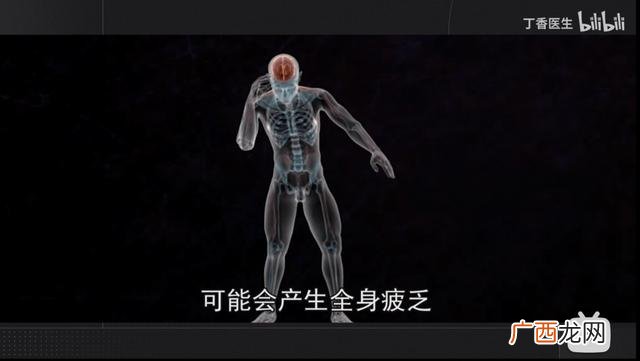 湖南师大槟榔品牌 槟榔生产厂家