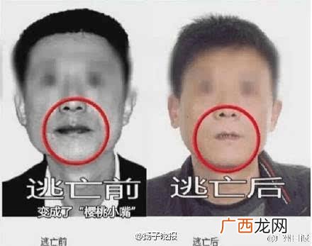 湖南师大槟榔品牌 槟榔生产厂家