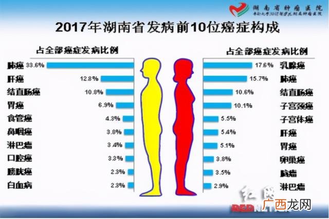 湖南师大槟榔品牌 槟榔生产厂家