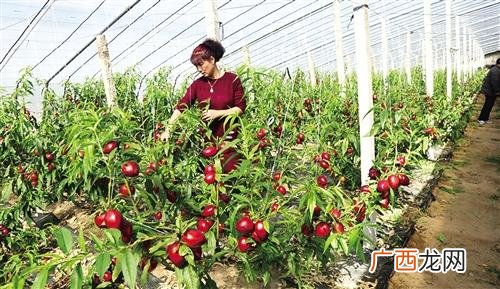 大连大活比较好的哪里,大连创业贷款是真的吗