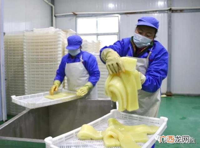 魔芋素食食品厂,魔芋素食加工机器