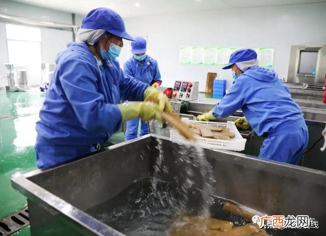 魔芋素食食品厂,魔芋素食加工机器