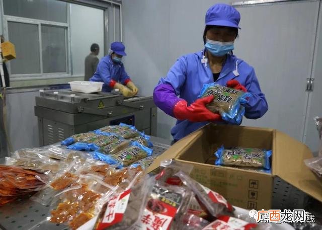 魔芋素食食品厂,魔芋素食加工机器