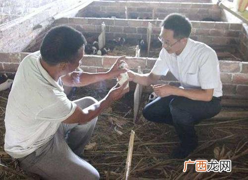 没本钱一个月赚10万 新门路零元的创业
