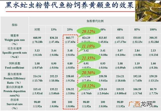 黑水虻产卵的温湿度 黑水虻和苍蝇哪个好养