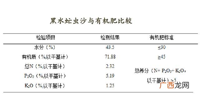 黑水虻产卵的温湿度 黑水虻和苍蝇哪个好养