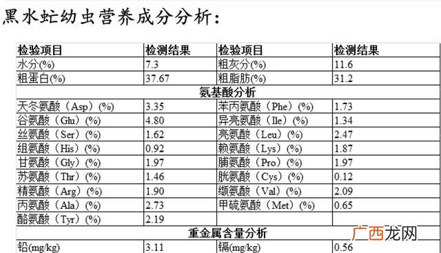 黑水虻产卵的温湿度 黑水虻和苍蝇哪个好养