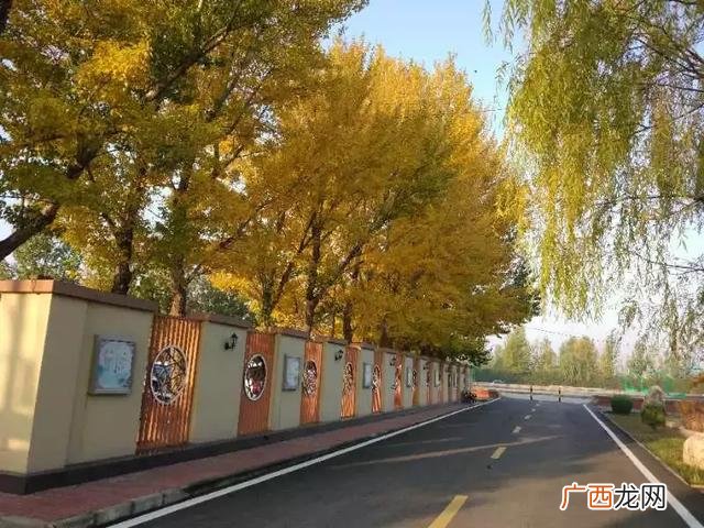 阳原县五个镇大小排名 阳原县残联