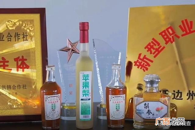 苹果公司的创业故事,创业种苹果