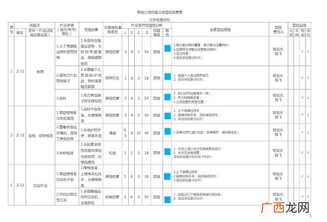 统计表格怎么做,项目风险管理表格