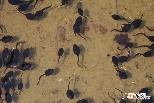 农村投资办厂致富项目 投资项目的利润有哪些