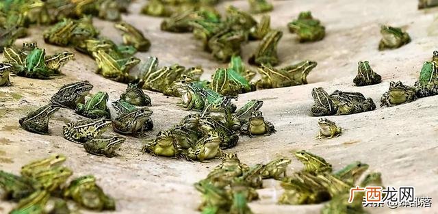 农村投资办厂致富项目 投资项目的利润有哪些