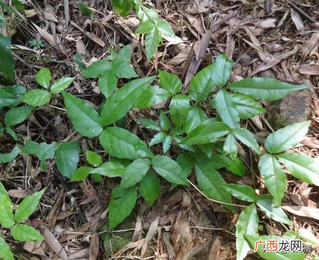 农村投资办厂致富项目 投资项目的利润有哪些