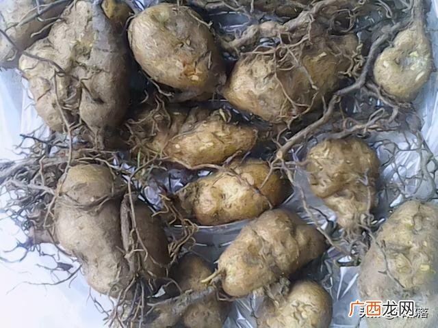 农村投资办厂致富项目 投资项目的利润有哪些