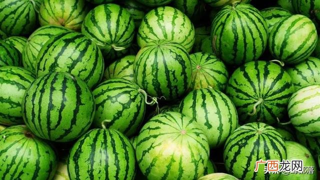 农村投资办厂致富项目 投资项目的利润有哪些