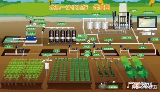 现在做什么行业前景好,创业哪个行业前景好