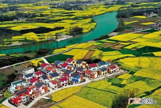 现在做什么行业前景好,创业哪个行业前景好