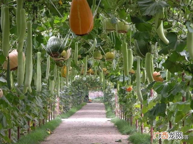 现在做什么行业前景好,创业哪个行业前景好