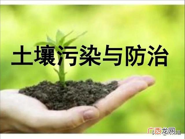 现在做什么行业前景好,创业哪个行业前景好