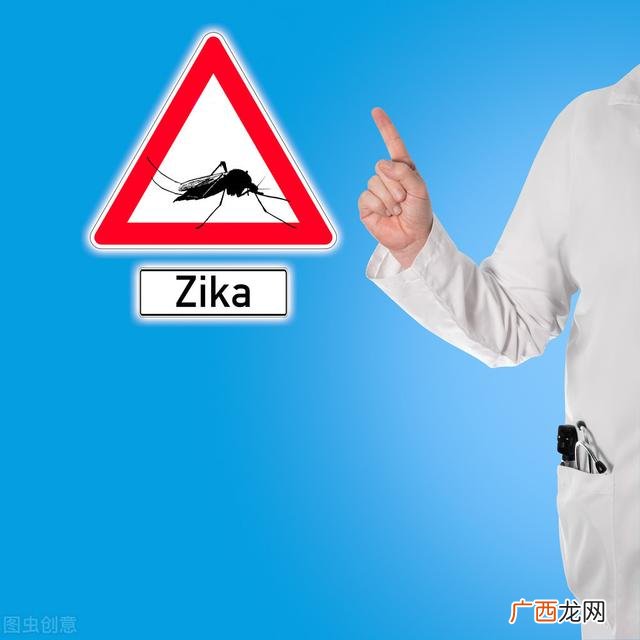 可行性研究报告格式与范本 可行性研究报告范文
