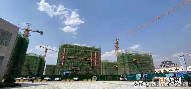 西南林业大学搬迁至石林 石林创业项目
