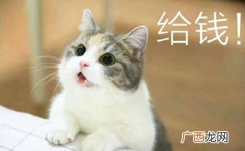卫生纸批发 洗衣液批发价格表