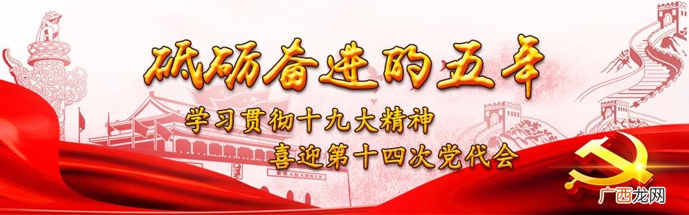 卫生纸批发 洗衣液批发价格表