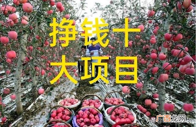 农村10万元投资创业 现在创业小本生意的项目有什么
