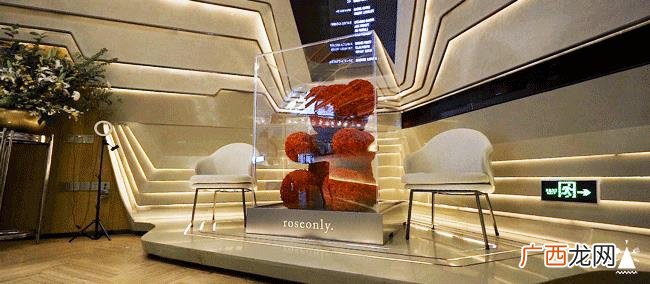 团野6块9零食店怎么样 6块9零食店怎么加盟