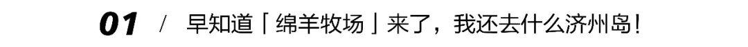 团野6块9零食店怎么样 6块9零食店怎么加盟