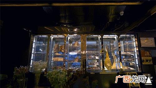 团野6块9零食店怎么样 6块9零食店怎么加盟