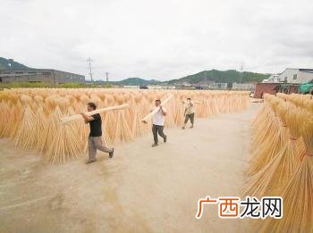 竹子加工厂,农村竹子加工项目