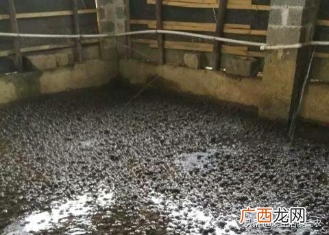 现代养殖业最赚钱行业 什么养殖业比较靠谱挣钱