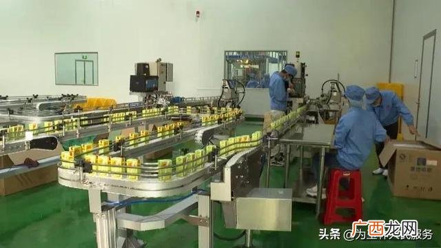 王老吉公司旗下饮料 王老吉饮料招商代理