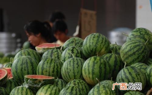 什么行业前景好最赚钱投资小,2019做什么生意赚钱投资小