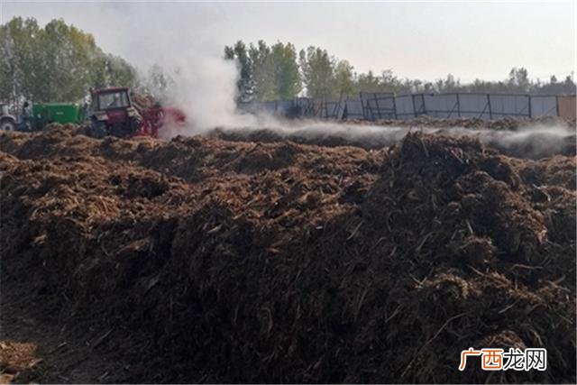 年利润三十万小作坊 10万元创业项目有哪些
