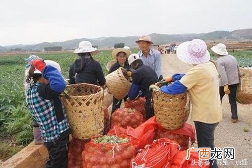 农村代理什么产品最赚钱,2018年农村赚钱新项目