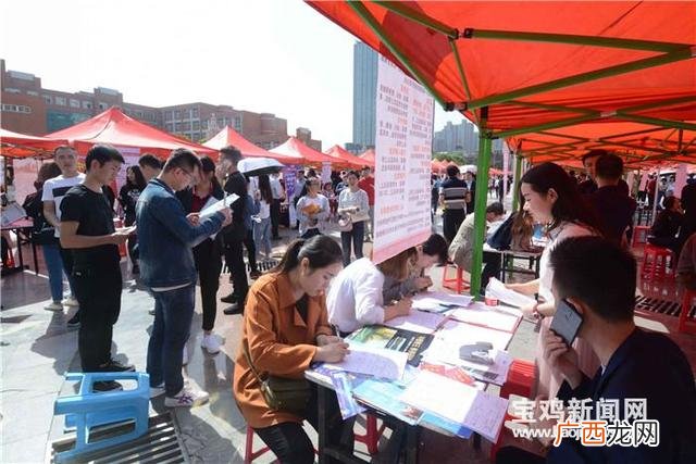 宝文理就业网网址 宝鸡文理就业创业信息网