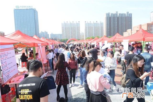 宝文理就业网网址 宝鸡文理就业创业信息网