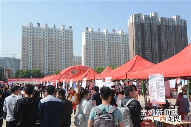 宝文理就业网网址 宝鸡文理就业创业信息网
