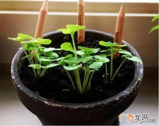 如何发现商机并创业,如何发现创业机会