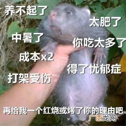 新房装修民宿宿骗局 上海民宿找投资