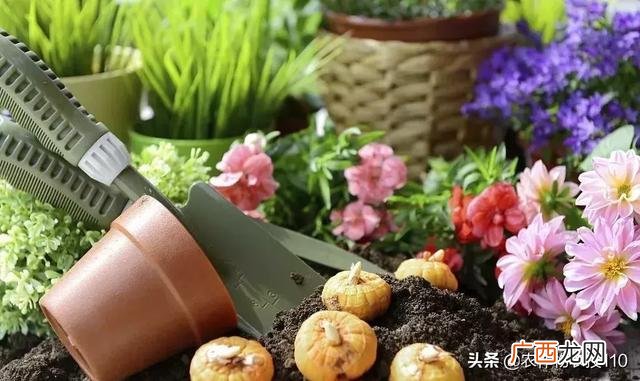 开店创业项目,代理新的小本创业项目