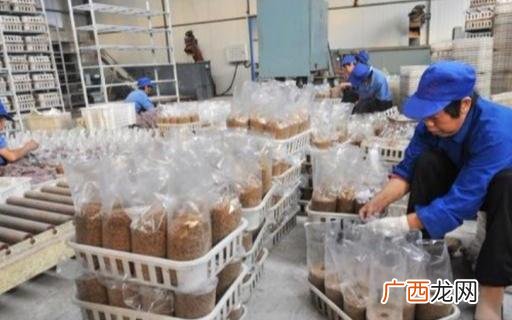 适合家庭生产的小工厂,农村适合办什么小型加工厂