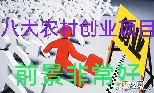 适合农村挣钱的小机器 江门创业网