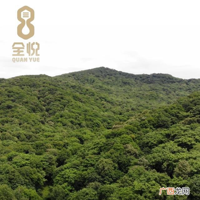 男人喝蜂蜜对性功能,用蜂蜜如何祛斑