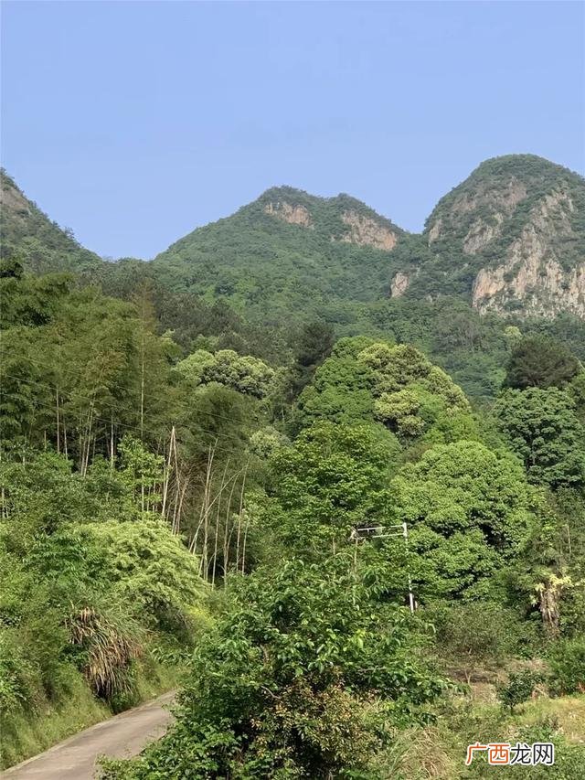 瓦罐鸡的做法大全集 大瓦罐海鲜
