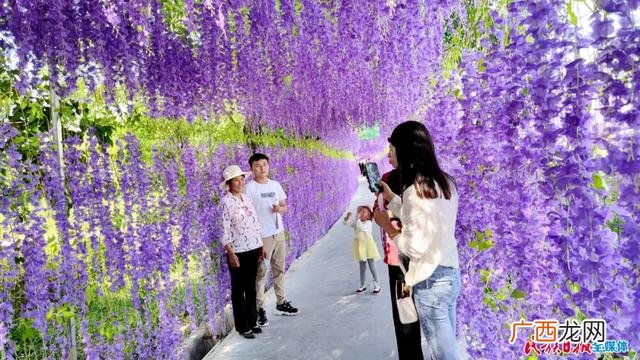 适合农村发展致富项目 甘肃农村发展项目
