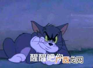 马泰克洗衣液是谁代言的,马泰克洗衣液哪里生产的
